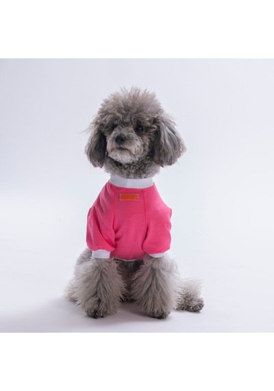 Pink-pembe Yourself Love Sweat Kedi Köpek Sweati - Kedi Köpek Kıyafeti