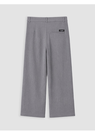 Lcw Vision Gri Loose Fit Erkek Pantolon