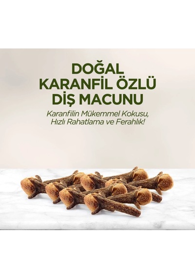 Doğal Diş Macunu 90 Gr Karanfil