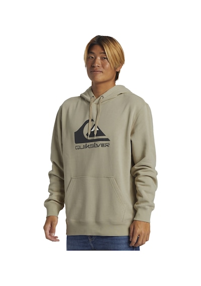 Quiksilver Big Logo Hoodie Erkek Sweatshirt Renkli