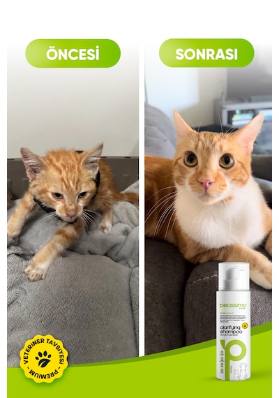 Petissimo Care Arındırıcı Kedi Şampuanı - Pire Parazit Kene Karşıtı Kedi Şampuanı - 200 Ml