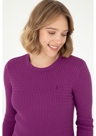 U.S. Polo Assn. Kadın Violet Bisiklet Yaka Basic Kazak 50288979-VR203