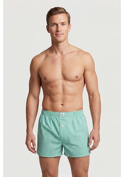 Cacharel Poplin Boxer Erkek 1113/kareli Yeşil