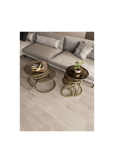 Milas Orta Ve Zigon Sehpa Seti Ø60-47 Mat Gold Metal, Temperli Bronz Cam Eskitme Bronz Milas Orta Ve Zigon Sehpa Seti Ø60-47 Mat Gold Metal, Temperli Bronz Cam Eskitme Bronz