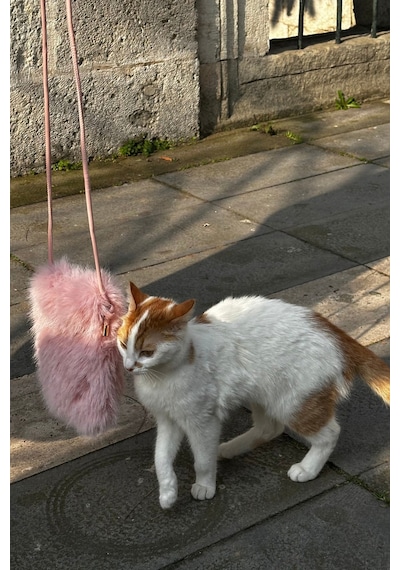Mollycrush Kadın Askılı Peluş Pembe Çanta Kürk Postacı Model Toz Pembe