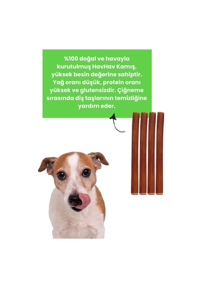 Havhav 4 Adet Sığır Kamış Çiğneme Çubuğu Köpek Ödülü