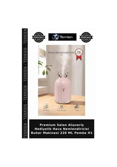 Premium Salon Alışveriş Hediyelik Hava Nemlendiricisi Buhar Makinesi 220 Ml Pembe H1