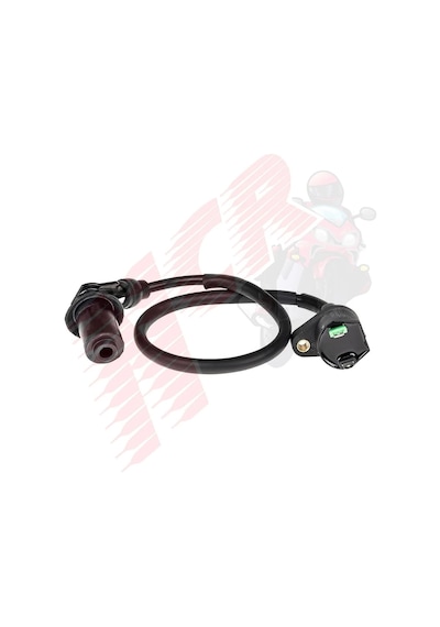 Pejo 103 105 Scooter 125-150 Dış Bobin Ncr