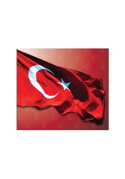 Türk Bayrağı Alpaka Kumaş 400x600 Cm Diğer