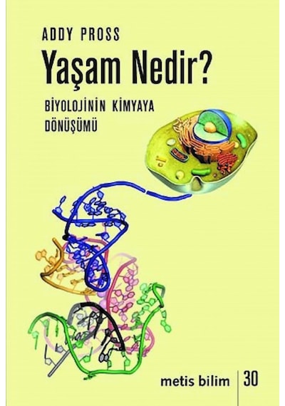 Yaşam Nedir? Biyolojinin Kimyaya Dönüşümü  - Addy Pross  - Metis Yayınları