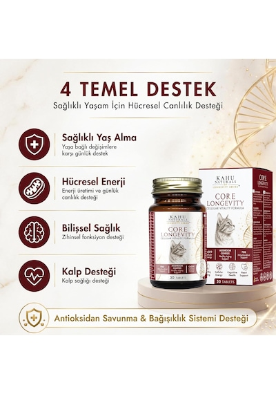 Core Longevity Kedi, Koenzim Q10, Nad+, Pqq, Kompleksi, 30 Tablet