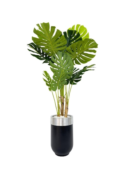 Yapay Monstera Ağacı Deve Tabani 170 Cm Si Yah Gümüş Darbuka Saksıda Siyah Gumus