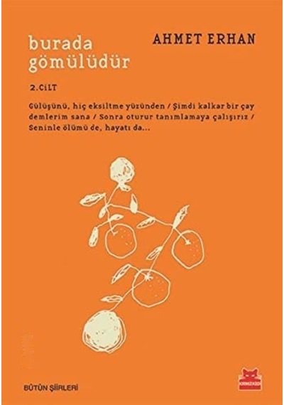 Burada Gömülüdür 2. Cilt - Ahmet Erhan 3. Baskı