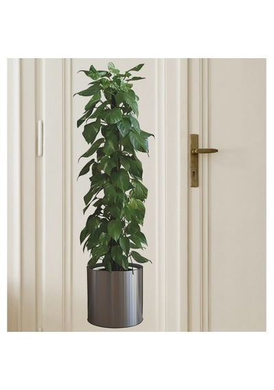 Saksılı Bitki Tasarımlı Resim 90 30 Cm Mc-665 Duvar Sticker Renkli