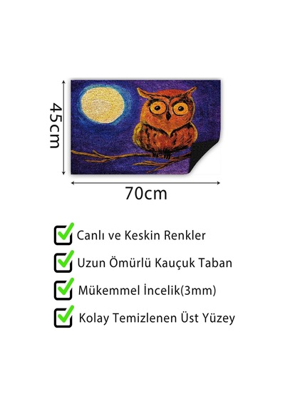 Tr Baykuş Kapı Önü Paspası Dekoratif Kapı Paspası Dış Mekân Paspas Ev İçi Paspası 45x70cm Diğer