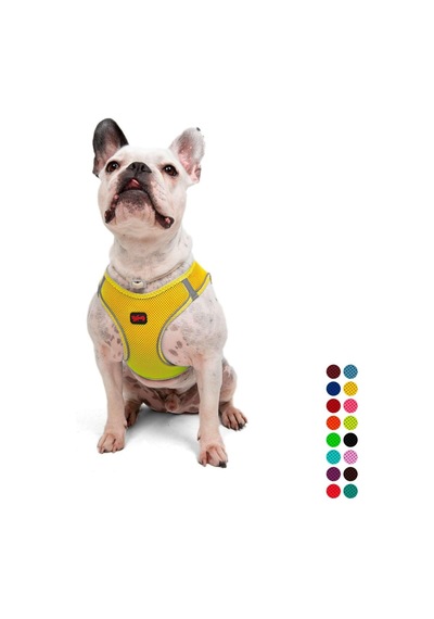 Tailpetz Air-mesh Küçük Ve Orta Irk Kedi Köpek Göğüs Tasması - Yumuşak, Nefes Alabilir, Dayanıklı Sarı, L Sku: Zeusb0clpkfftk Açık Bej - Bej