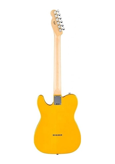 Fender Standard Tele Mn Bpg Btb Elektro Gitar