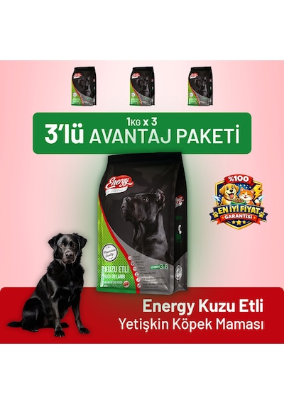 Dog Food Energy Kuzu Etli Yetişkin Köpek Maması - 3 Adet