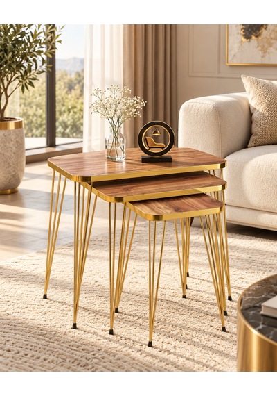Odera Gold Ceviz Zigon Sehpa 3'lü Set Metal Tel Ayaklı Modern Retro Salon Sehpası Diğer