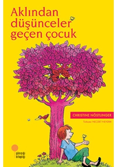 Aklından Düşünceler Geçen Çocuk - Chrıstıne Nöstlı