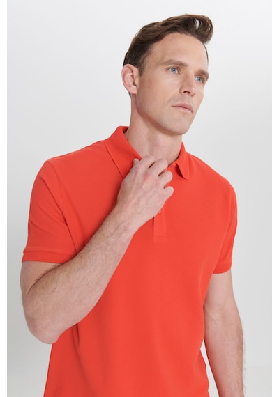 AC&Co / Altınyıldız Classics Erkek Nar Çiçeği Slim Fit Dar Kesim Polo Yaka %100 Pamuk Tişört 4A4820200001NCCXL Narçiçeği AC&Co / Altınyıldız Classics Erkek Nar Çiçeği Slim Fit Dar Kesim Polo Yaka %100 Pamuk Tişört 4A4820200001NCCXL Narçiçeği