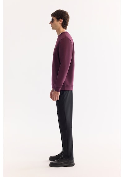 Avva Erkek Bordo Bisiklet Yaka Pamuklu Bi-stretch Baskılı Regular Fit Sweatshirt A52y1325