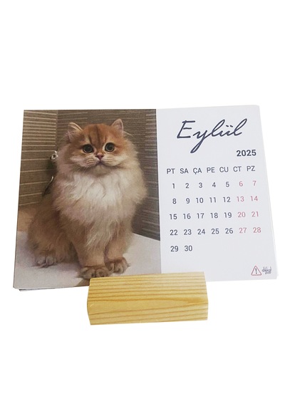 Hayvan Severler İçin 2025 Kedi Takvimi