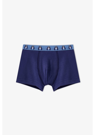Penti Erkek Çocuk Mavi Paws For Joy Pamuklu 3lü Boxer