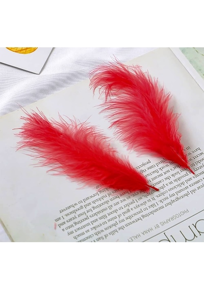 100 Adet Kırmızı Kuş Tüyü Decor Vıp Red Bırd Feather Kırmızı Şeffaf Balon Tüyü Kırmızı Süsleme Tüyü