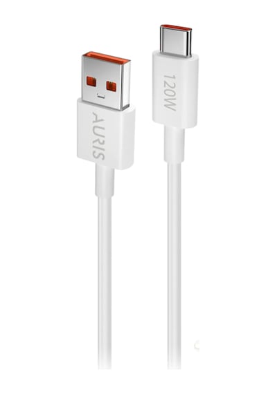 Auris ARS-CH37 120 W Usb To Type-c Kablolu Hızlı Şarj Cihazı