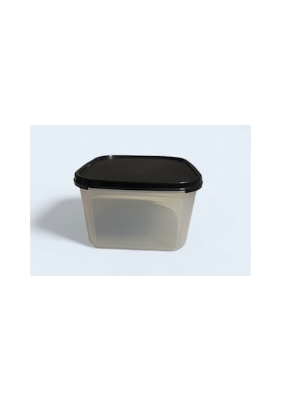 Pratik Ve Şık: Şeffaf Siyah Kapaklı Tupperware Saklama Kabı 2.6l Şeffaf Şeffaf