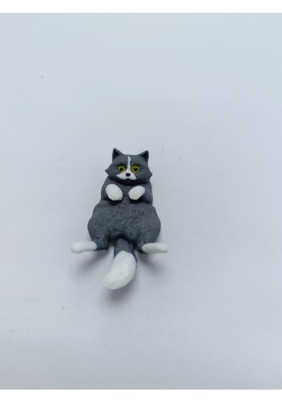 Miskin Gri Kedi Magnet