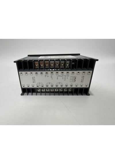 Wp C803 02 09 Hh Dijital Sıcaklık İzleme Cihazı