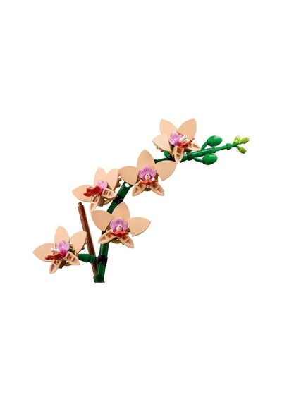 10343 İconic Botanicals Mini Orkide 274 Parça +18 Yaş