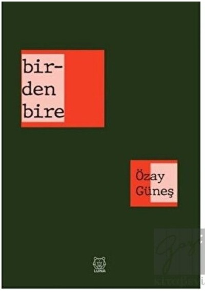 Birdenbire - Özay Güneş - Luna Yayınları