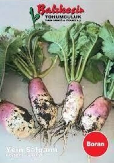 Balıkesir Yem Şalgamı