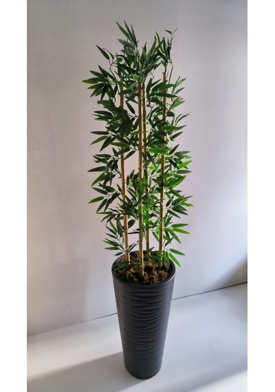 Rüzgar Yapay Çiçekçilik 180 Cm Kumsal Saksıda Bambu Yeşil