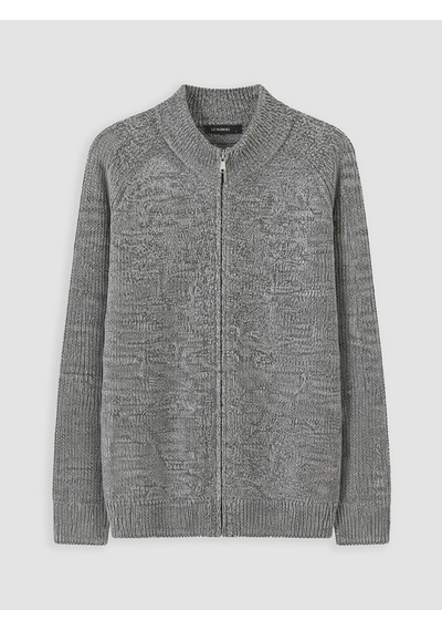 LC Waikiki Lc Waıkıkı Gri Regular Fit Dik Yaka Erkek Triko Hırka