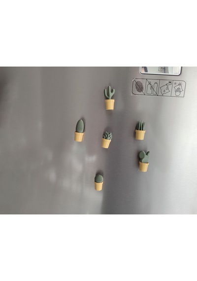 Ev Dekorasyon Buz Dolabı Magnet Succulet 3 Adet