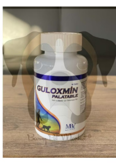 Guloxmin Palatable Glukozamin Ve Kondroitin Destekli Kedi Köpek Eklem Bakım Tableti 90 Tb