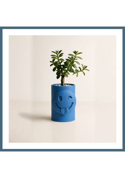 Bezos 3d Baskı Emoji Planter - Göz Kırpan Yüzlü Sukulent Saksısı-mavi Agc Standart