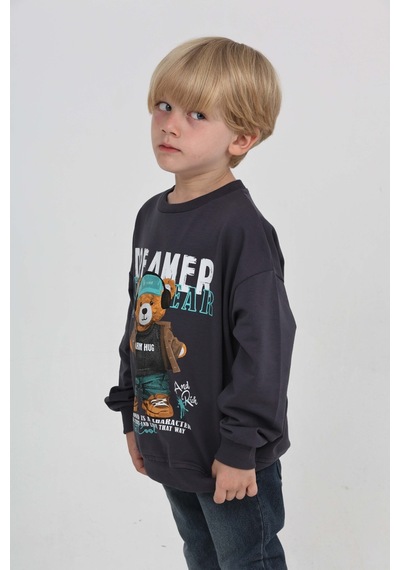 Toontoy Kids Toontoy Erkek Çocuk Dreamer Ayı Baskılı Sweatshirt Füme