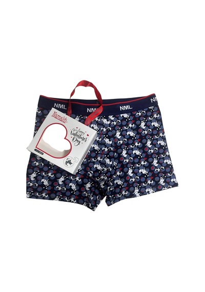 Namaldı 1024 Erkek Boxer Dijital Boxer Çok Renkli