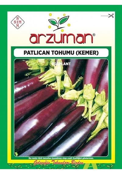 Kemer Patlıcan Tohumu10 GRam