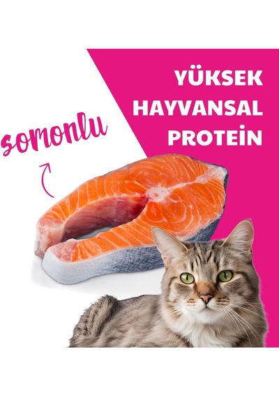 Sterilised Kuru Kedi Maması, Somonlu Ve Pirinçli, Kısırlaştırılmış Kediler İçin, Yetişkin, 10kg