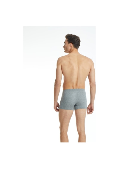 Blackspade 9310 Erkek Modal Boxer Silver 2'Li Paket