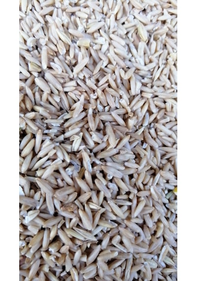 Soyulmuş İç Yulaf 5 KG