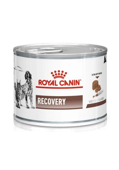 Royal Canin Recovery 195 Gr - Ameliyat Sonrası Ve İştahsızlık Dönemi Destek Maması