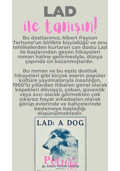 Petjoo 23.Lad Pembe-Gri Qr'lı Köpek Künyesi