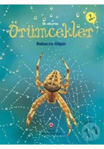 Erken Çocukluk Kitaplığı  - Örümcekler  - Rebecca Gilpin  - Tübitak Yayınları